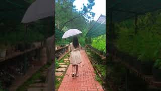 Lavender Garden Dalat 2020