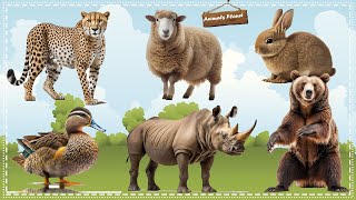 Cute Little Animals Making Funny Sounds Cheetah, Sheep, Rabbit, Duck, Rhinoceros, Bear by Animals Planet 2,349 views 3 days ago 31 minutes