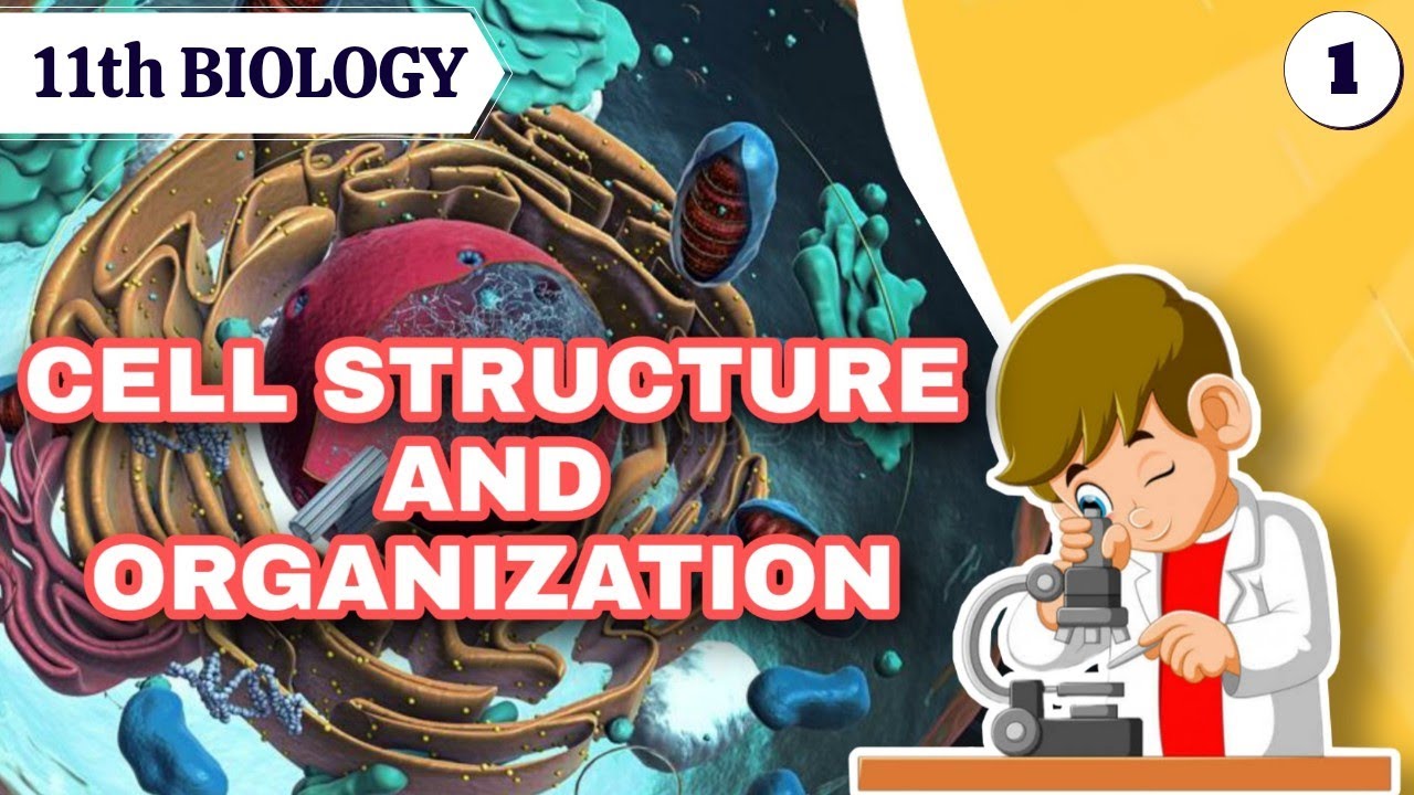| 11th Biology | CHAPTER 5 | CELL STRUCTURE AND ORGANIZATION | Lecture ...