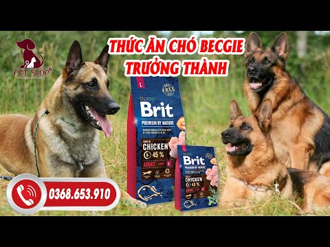 Video: Euro-Premium® Thức ăn Khô Nguyên Bản, Bỉ Dành Cho Chó Thuộc Mọi Giống