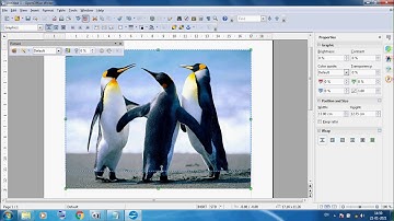 Class 5 Computer Chapter 5 Images-Font Work, Picture, Gallery in a Document