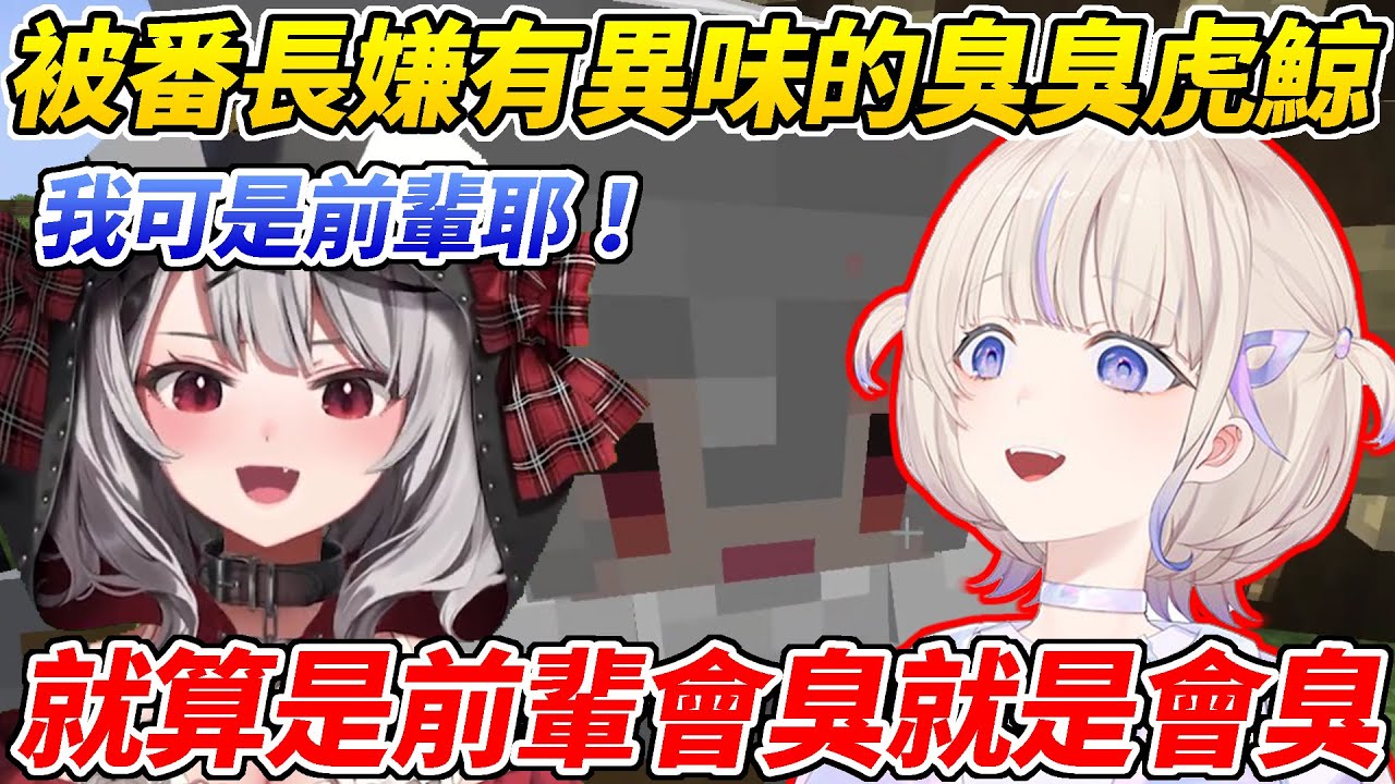 臭臭虎鯨被番長嫌臭之後開始施壓卻被義正嚴詞的反擊「就算是前輩會臭就是會臭」ww【沙花叉克蘿耶／轟一】【ホロライブ切り抜き】【HOLOLIVE中文】