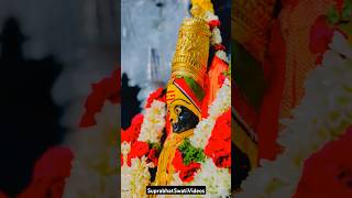 Download Lagu tuljabhawani kulswamini | Aai Jagadamba mauli 🙏|#music#tuljabhavaniaai#tuljabhavani_live #bhaktisong MP3 Download Lagu tuljabhawani kulswamini | Aai Jagadamba mauli 🙏|#music#tuljabhavaniaai#tuljabhavani_live #bhaktisong MP3
