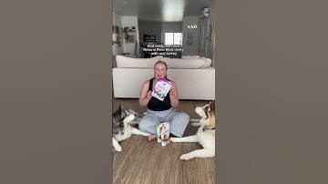 Hill’s Pet Nutrition is Kota + Sky approved! #Shorts