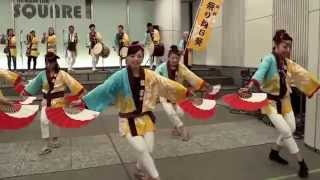 祭り向日葵 20150516 仙台PARCO
