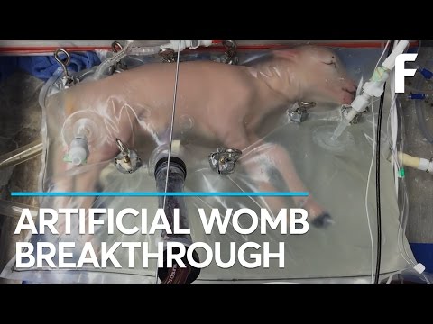 Breaking: Scientists Create An Artificial Womb