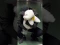 The Joyful Reunion: My Dog's Daily Pick-Up at Work
