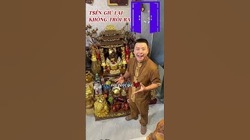 Tập 11: Đặt cóc ngậm tiền sai cách – Tưởng hút lộc, ai ngờ… tống lộc đi!