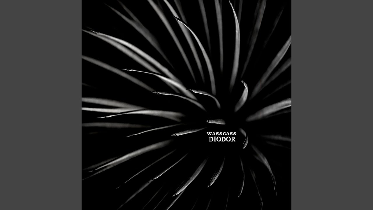 Guarda Diodor su YouTube Guarda Diodor su YouTube