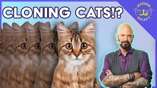 Creating Cat Clones?