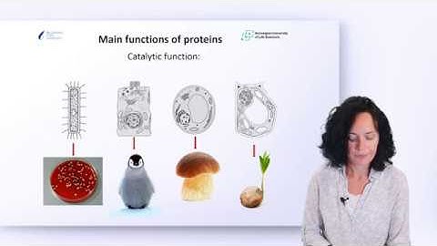 M2-2. Cell Chemistry Main Building Blocks | Mining Biospectroscopy Data