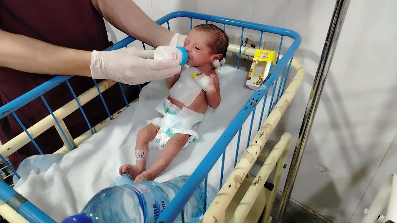 🍼 A Newborn Baby – How to Start Formula Feeding Safely and Correctly | Complete Step-by-Step Guide🏡 