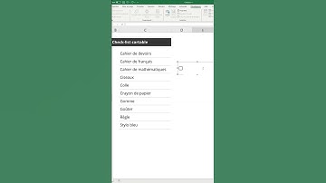 Comment créer une check-list facilement dans Excel ?