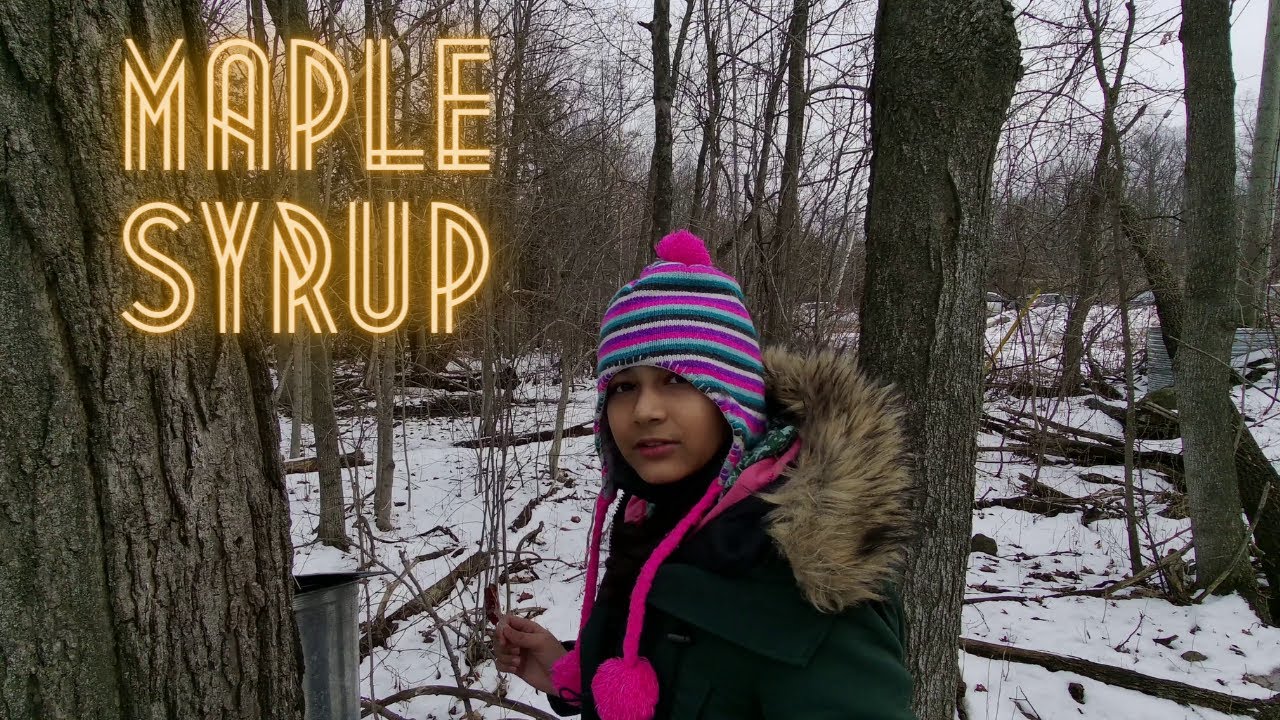 Maple Syrup Festival Terracotta Halton Hills, Ontario YouTube