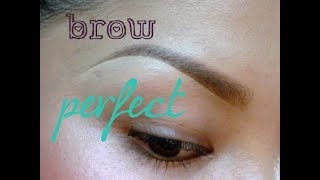 Famous Tutorial: Updated Eyebrow Routine | baylovespow Net Worth