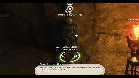 FFXIV "Shadowing the Summoner" SMN 40 Job Quest