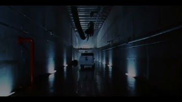 Boa (2001) and Python (2000) 🐍