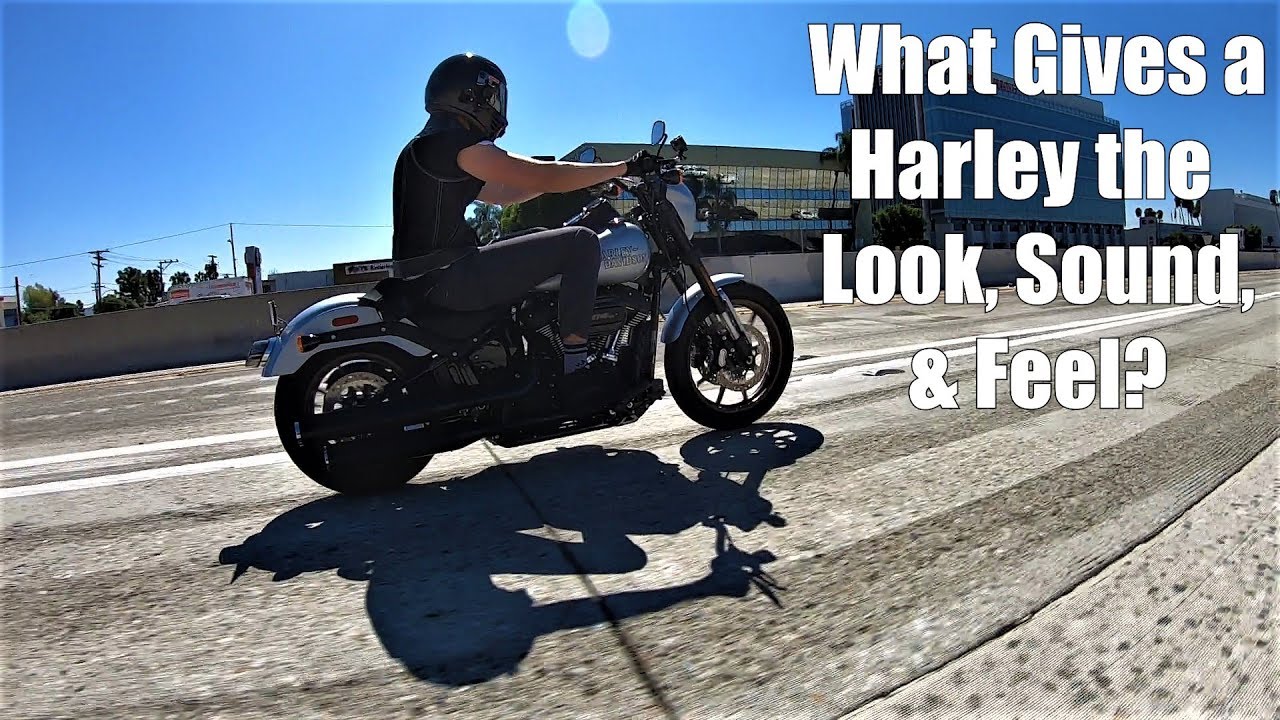 HarleyDavidson The Look, Sound, & Feel You Just Wouldn't Understand