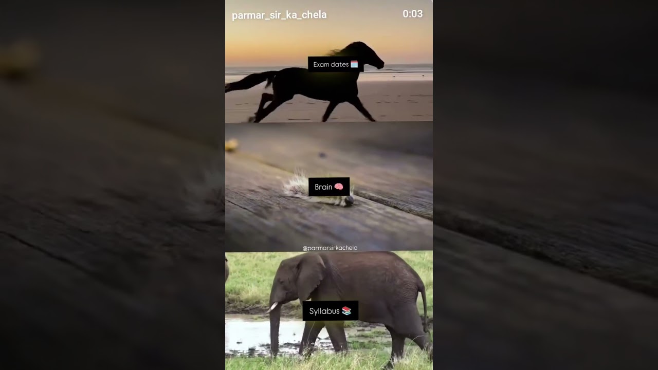 Bihar public Exam🤩😛ll 