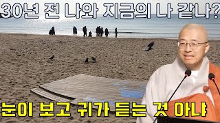 진짜 나는 무엇일까? - 부처님말씀과 마음공부(2-2)