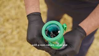 Nobacz Navel Should You Dip Or Spray Navels? Subles