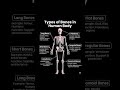 🦴 Bones of human body #follow #anatomy #doctor #followforfollowback #lifeisbutadream #foryou #medica
