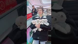 Little #Pets and Cute #Girl Funny &amp; #Cute Moments | Best Feel-Good Video