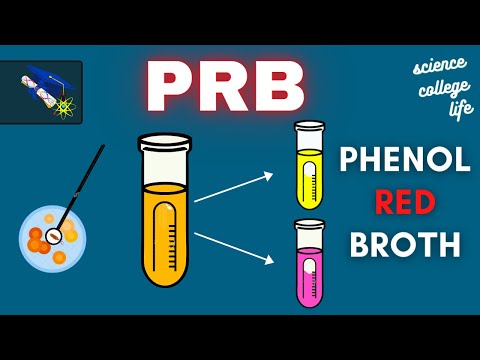 PRB | Phenol Red Broth Test | Microbiology Lab