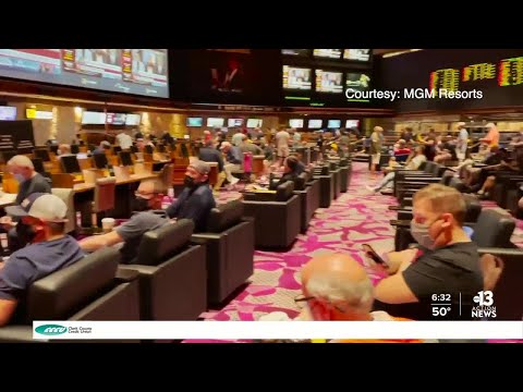 ⭐️ APUESTAS FANTASY PARA LA PRIMERA JORNADA | MIS NOMBRES PROPIOS PARA DESTACAR EN EL INICIO LIGUERO