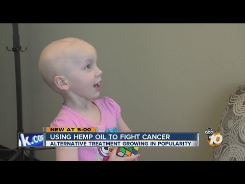 Hemp oil extract CBD being promoted as alternative health treatment for cancer, epilepsy