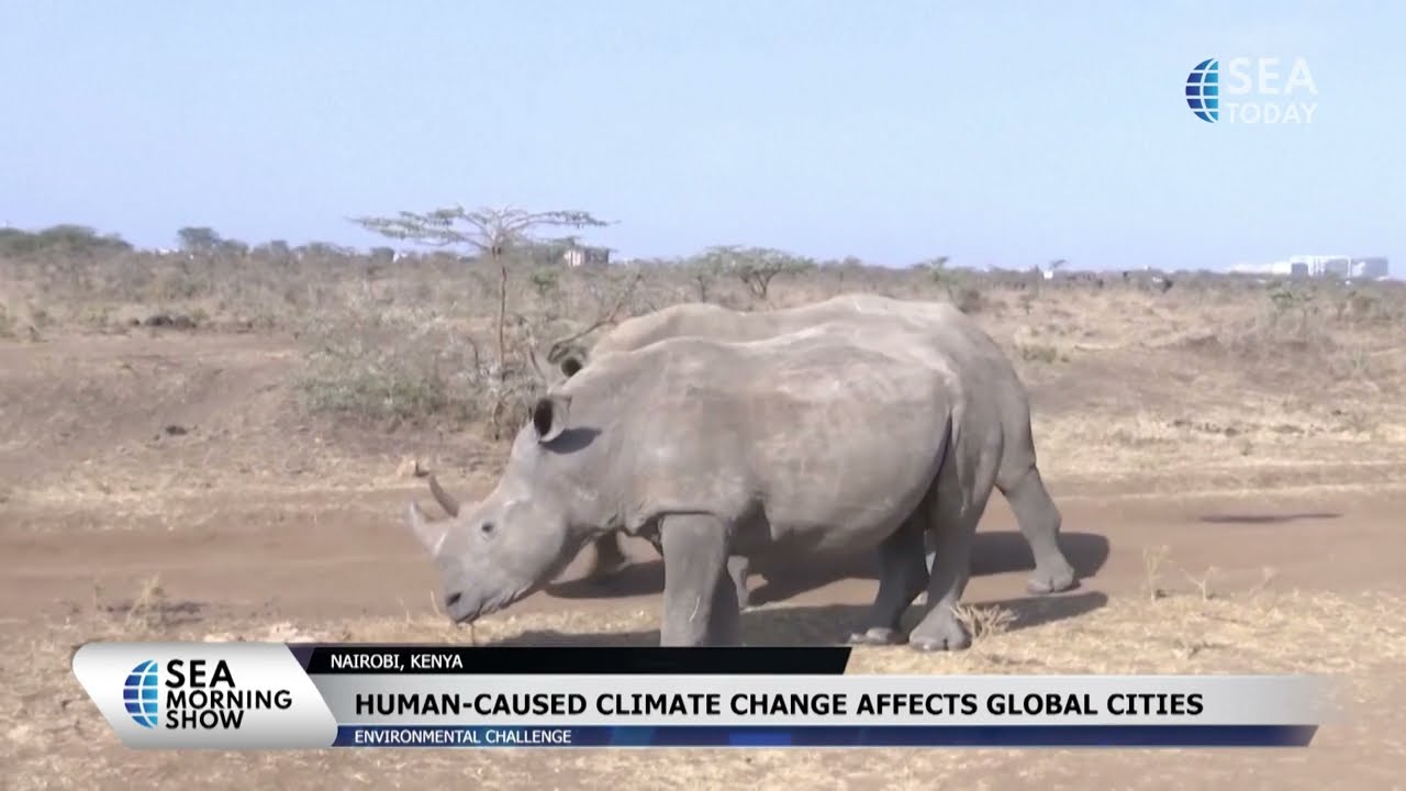 Nairobi Features Pleasant Climate, Numerous Green Spaces