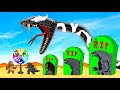 Rescue TEAM Godzilla &amp; KONG From GIANT PYTHON - VENOM : Returning from the Dead SECRET - FUNNY