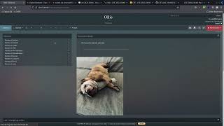TryHackMe #451 Ollie