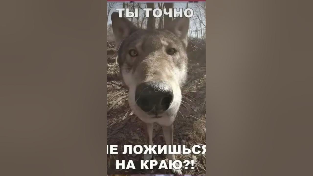 давай спи время 00.07 #подпишись #рекомендации #дафукбум - YouTube