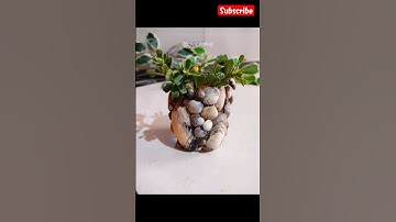 diy seashell craft ideas🌊 #youtubeshorts #diy #creativekaji #craft #creative #art #seashells #bottle