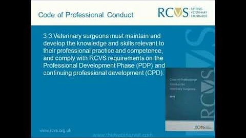 The Professional Development Phase  helping build ...