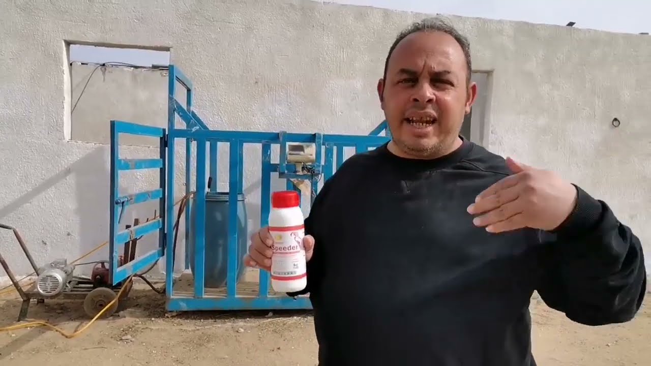 ازاي تحمي مزرعتك و عجولك من مشاكل الصيف