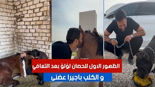 الظهور الاول للحصان لؤلؤ بعد التعافي و الكلب باجيرا عضنى | #٦٠شو_مع_الدكتور_حاتم_ستين