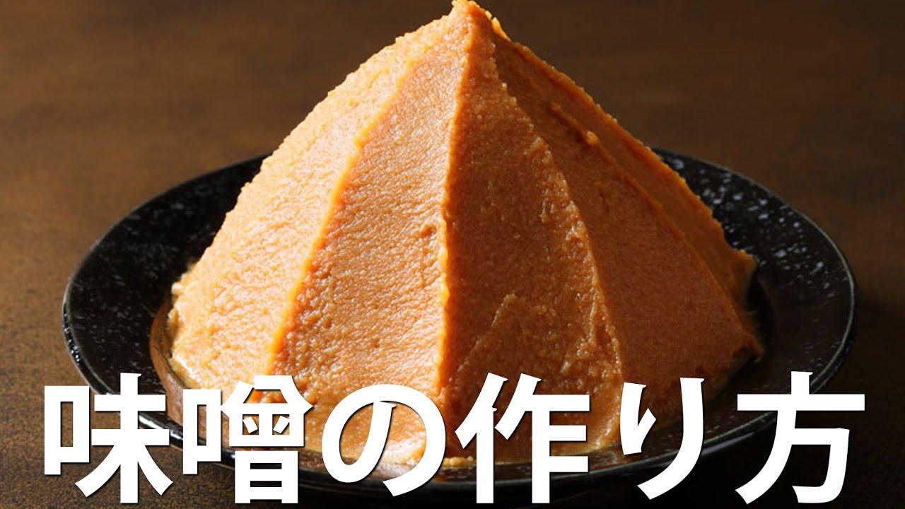 味噌の作り方 How To Make Delicious Miso Using Malt Rice And Malt Barley Youtube