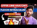 Upper Limb Anatomy - Flexor Retinaculum | MBBS 1st Year | Full Explanation With Notes | MBBS World