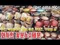 4/17. 가성비, 화사한 꽃분&수제분 특집, 화분도 인테리어! 봄날을 맞아 화사한 꽃분 ❤ 다육이화분, 다육이화분추천, 식물화분,  #전국택배가능 #01048583904