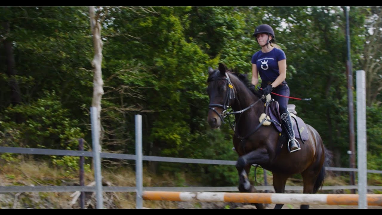 Mbo-opleiding paardensport en -houderij