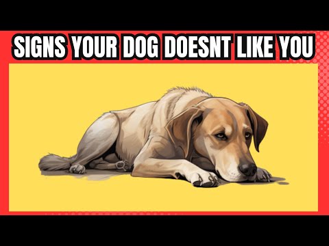 15 Signs Your