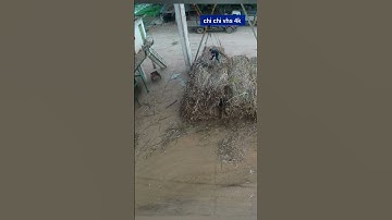 vận hành cẩu nâng trong môi trường Công nghiệp