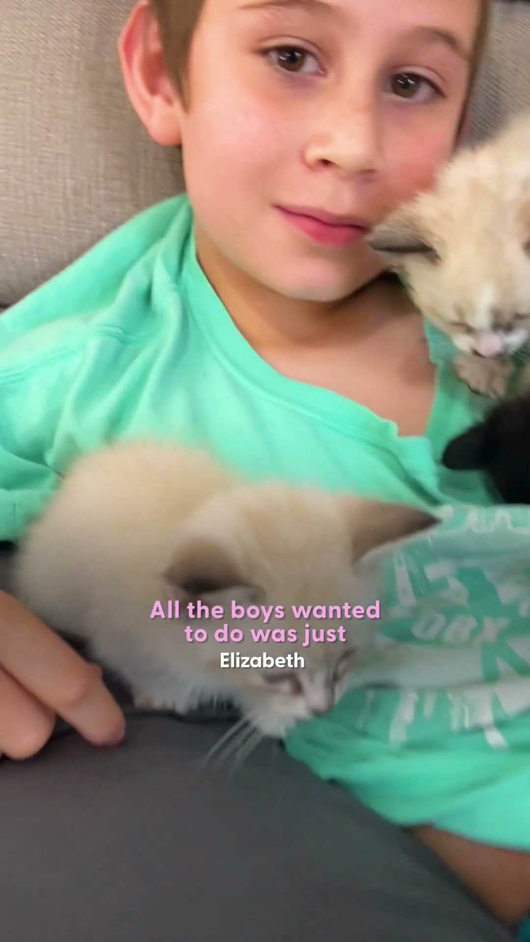 Dad Finds A Box Of Kittens Outside And Brings Them All In... | The Dodo