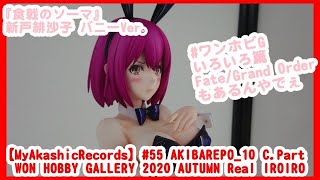 【MyAkashicRecords】#55 AKIBAREPO_10 C.Part WON HOBBY GALLERY 2020 AUTUMN Real IROIRO