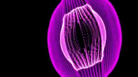 Music Reaction - Trapcode Form - AAE CS3