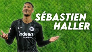 Sebastien Haller  Welcome To Borussia Dortmund  Best Goals U0026 Skills