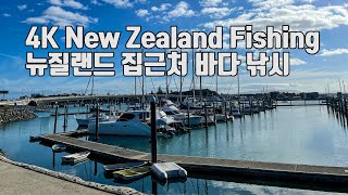 4K New Zealand Fishing Tauranga Bridge Marina | 뉴질랜드 타우랑가 초보 낚시