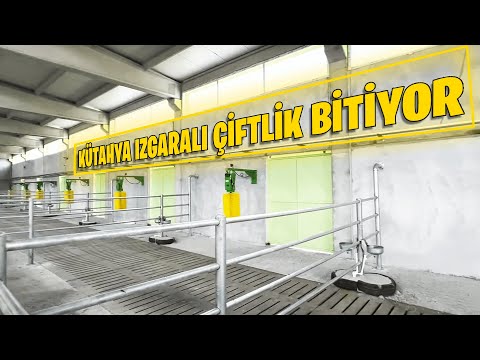KÜTAHYA IZGARALI ÇİFTLİK